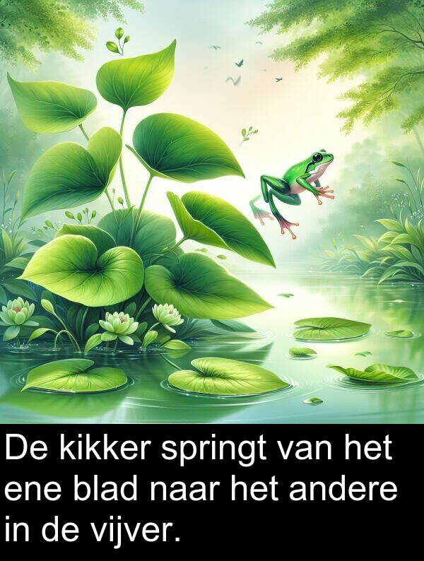 andere: De kikker springt van het ene blad naar het andere in de vijver.