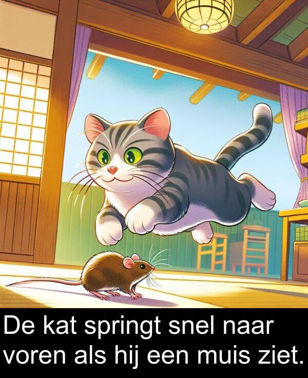 snel: De kat springt snel naar voren als hij een muis ziet.