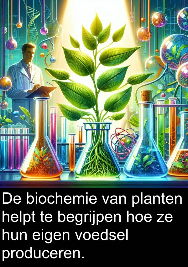 hoe: De biochemie van planten helpt te begrijpen hoe ze hun eigen voedsel produceren.