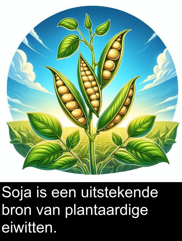 eiwitten: Soja is een uitstekende bron van plantaardige eiwitten.