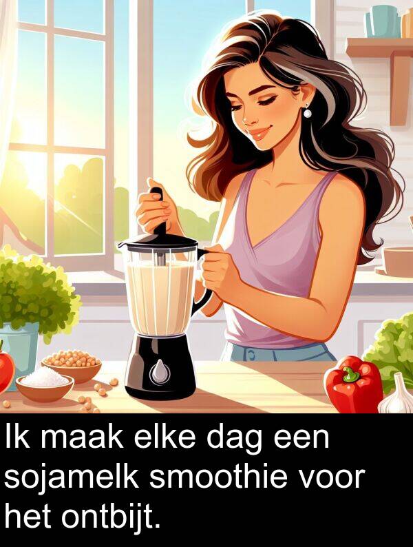 maak: Ik maak elke dag een sojamelk smoothie voor het ontbijt.