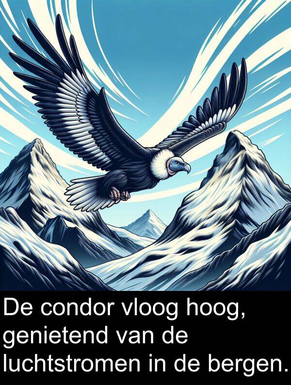 bergen: De condor vloog hoog, genietend van de luchtstromen in de bergen.