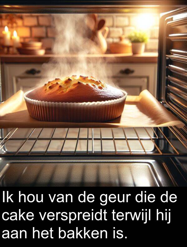 geur: Ik hou van de geur die de cake verspreidt terwijl hij aan het bakken is.