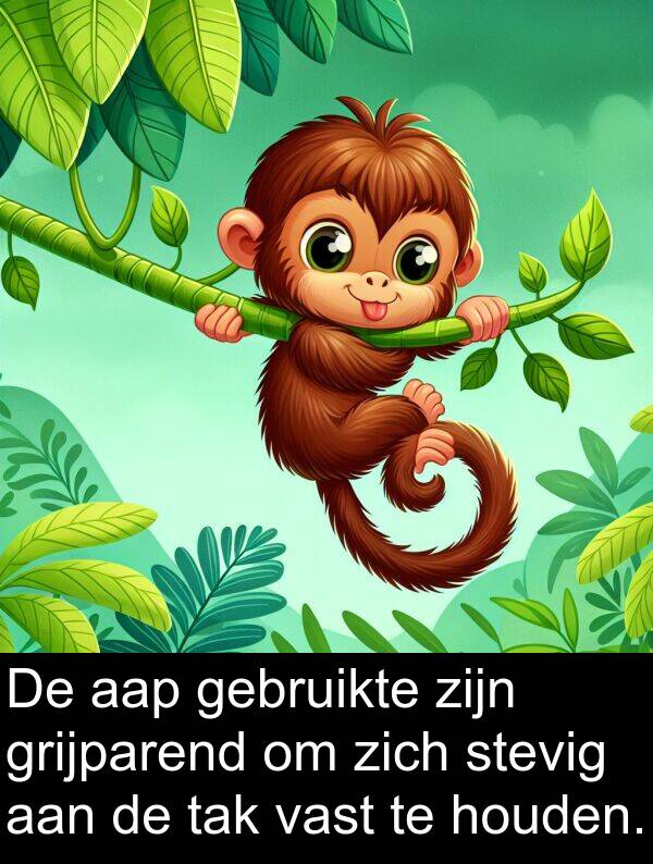grijparend: De aap gebruikte zijn grijparend om zich stevig aan de tak vast te houden.