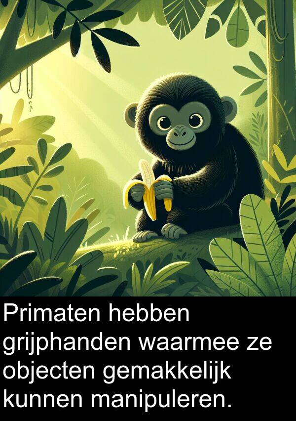 grijphanden: Primaten hebben grijphanden waarmee ze objecten gemakkelijk kunnen manipuleren.