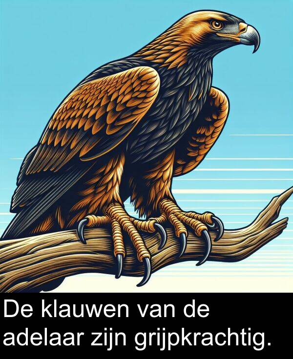 grijpkrachtig: De klauwen van de adelaar zijn grijpkrachtig.
