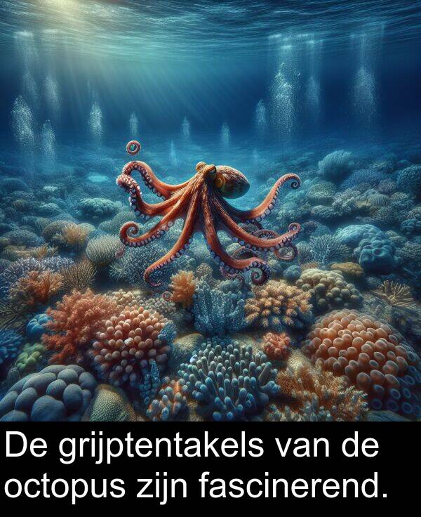 grijptentakels: De grijptentakels van de octopus zijn fascinerend.