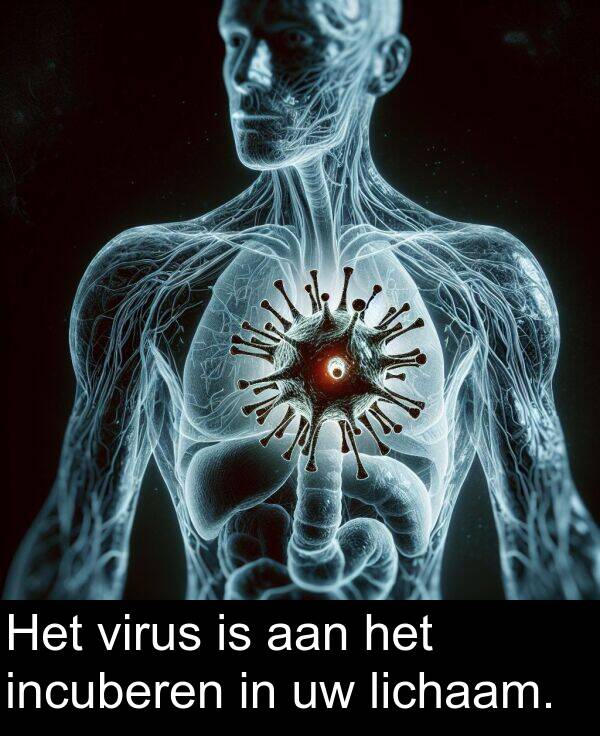 incuberen: Het virus is aan het incuberen in uw lichaam.