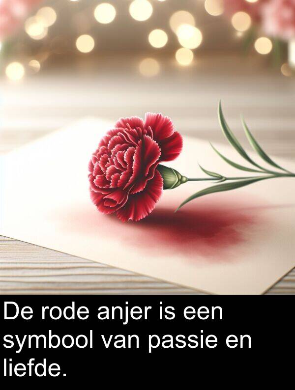 liefde: De rode anjer is een symbool van passie en liefde.