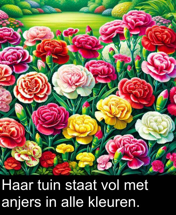 tuin: Haar tuin staat vol met anjers in alle kleuren.