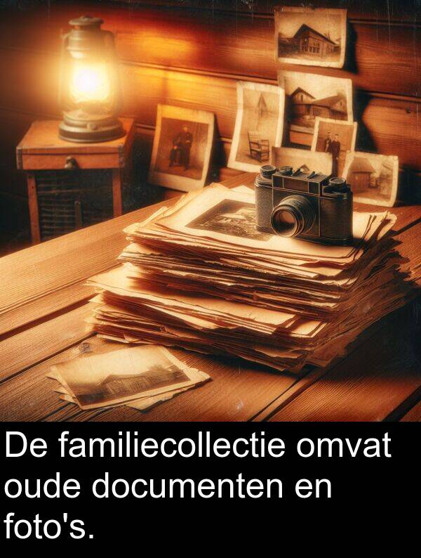 familiecollectie: De familiecollectie omvat oude documenten en foto's.