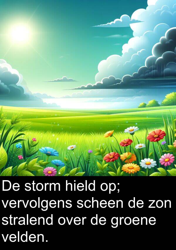 groene: De storm hield op; vervolgens scheen de zon stralend over de groene velden.