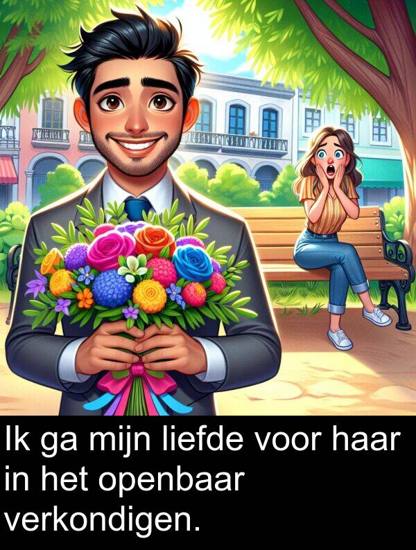 liefde: Ik ga mijn liefde voor haar in het openbaar verkondigen.