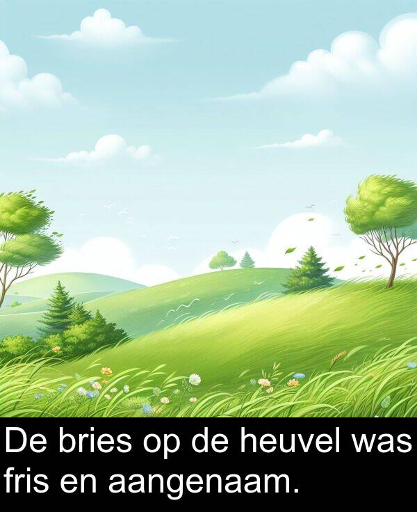 fris: De bries op de heuvel was fris en aangenaam.