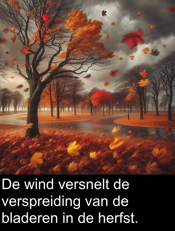 bladeren: De wind versnelt de verspreiding van de bladeren in de herfst.