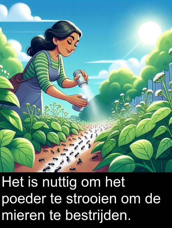 strooien: Het is nuttig om het poeder te strooien om de mieren te bestrijden.