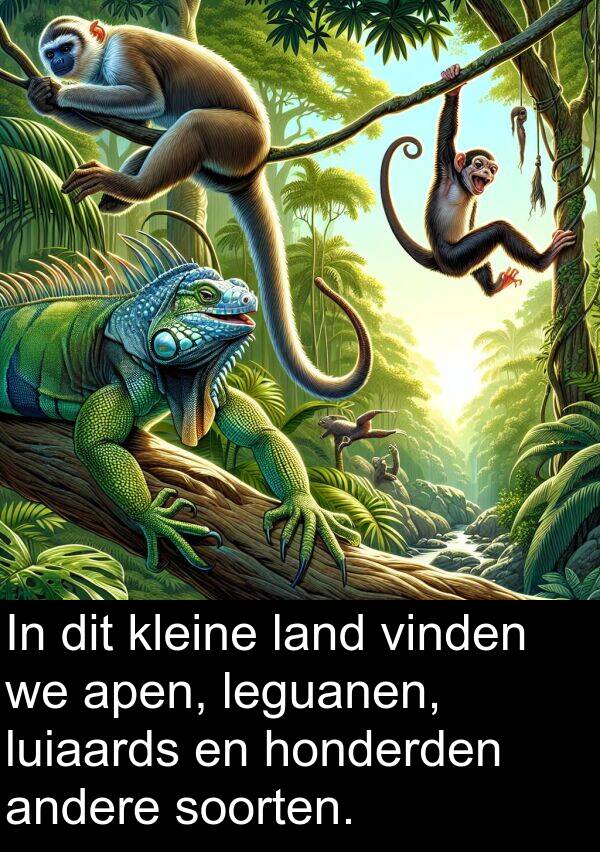 soorten: In dit kleine land vinden we apen, leguanen, luiaards en honderden andere soorten.