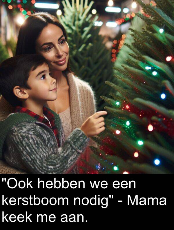 nodig: "Ook hebben we een kerstboom nodig" - Mama keek me aan.