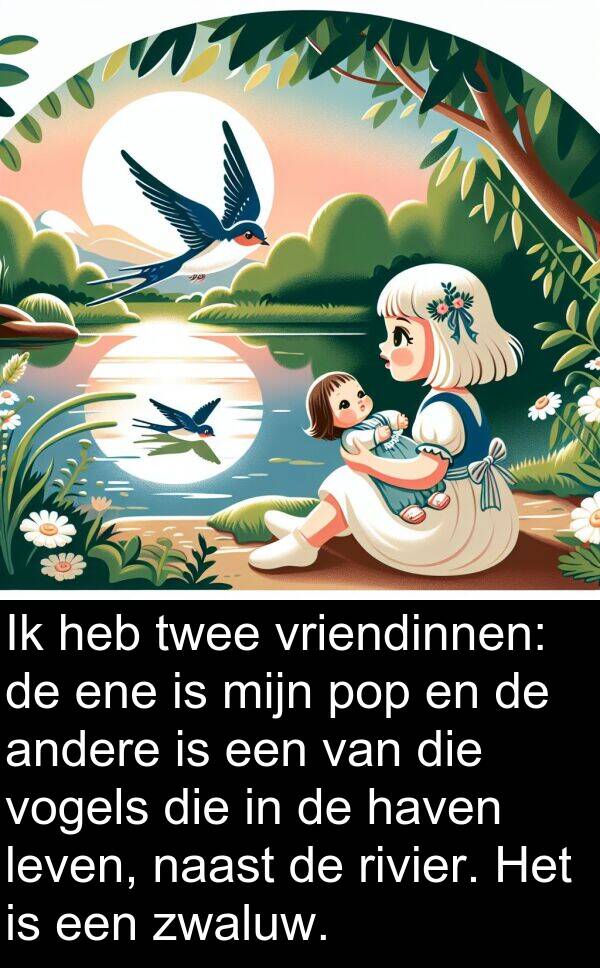 zwaluw: Ik heb twee vriendinnen: de ene is mijn pop en de andere is een van die vogels die in de haven leven, naast de rivier. Het is een zwaluw.