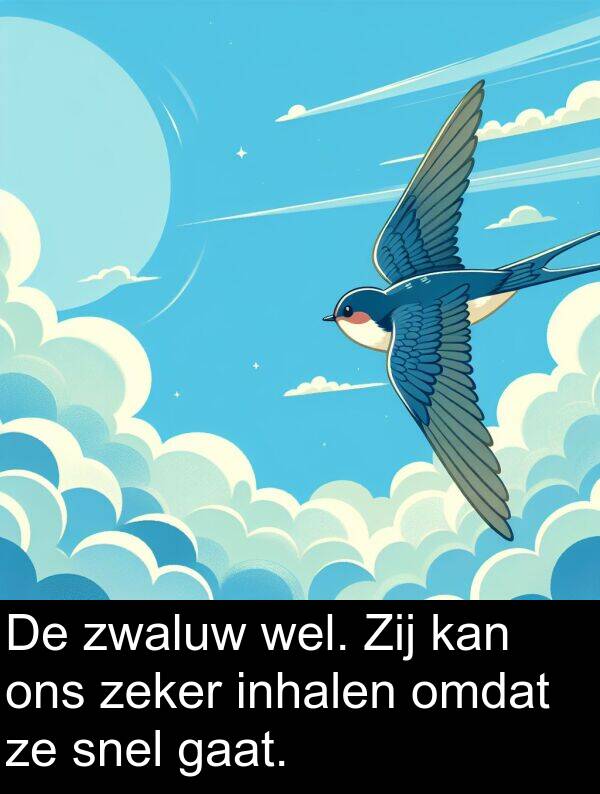 snel: De zwaluw wel. Zij kan ons zeker inhalen omdat ze snel gaat.
