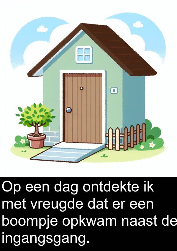 vreugde: Op een dag ontdekte ik met vreugde dat er een boompje opkwam naast de ingangsgang.