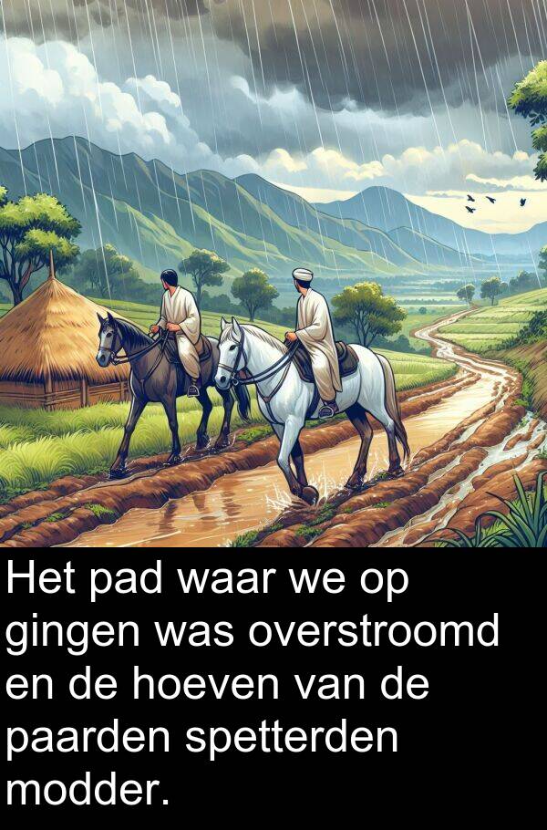 gingen: Het pad waar we op gingen was overstroomd en de hoeven van de paarden spetterden modder.