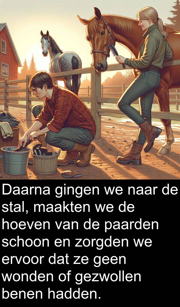 gingen: Daarna gingen we naar de stal, maakten we de hoeven van de paarden schoon en zorgden we ervoor dat ze geen wonden of gezwollen benen hadden.