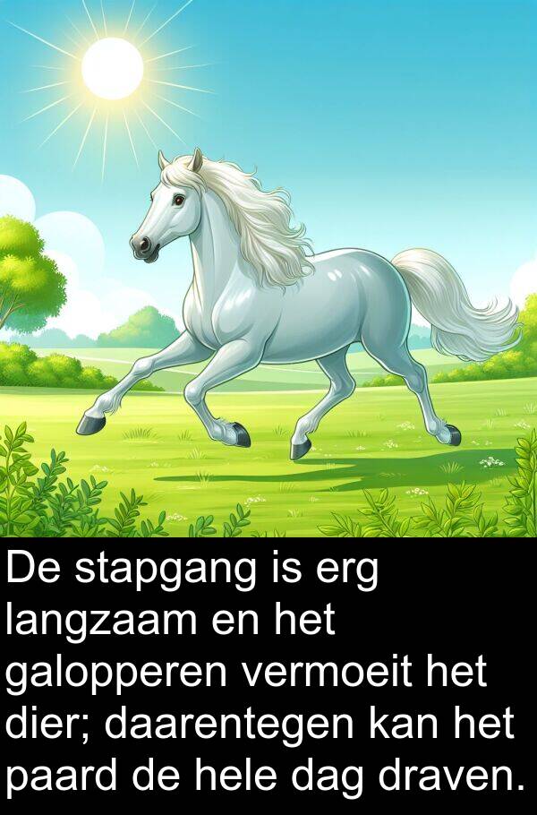 draven: De stapgang is erg langzaam en het galopperen vermoeit het dier; daarentegen kan het paard de hele dag draven.