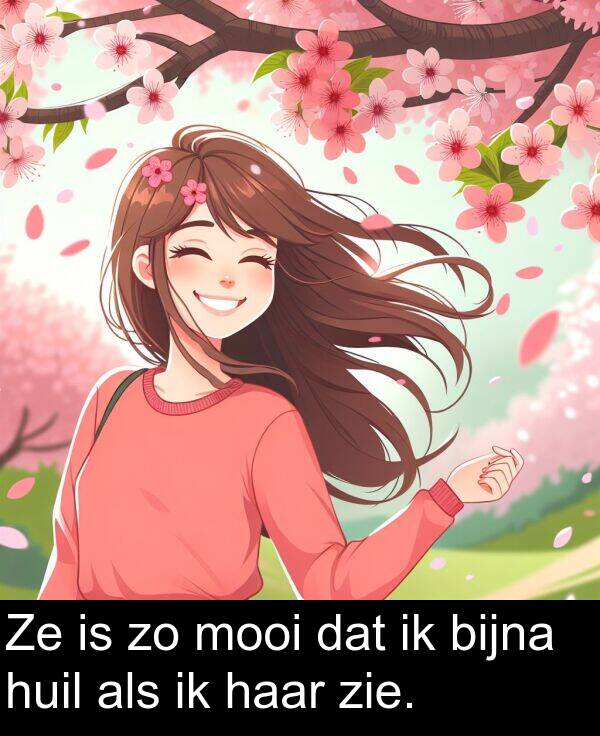 zie: Ze is zo mooi dat ik bijna huil als ik haar zie.