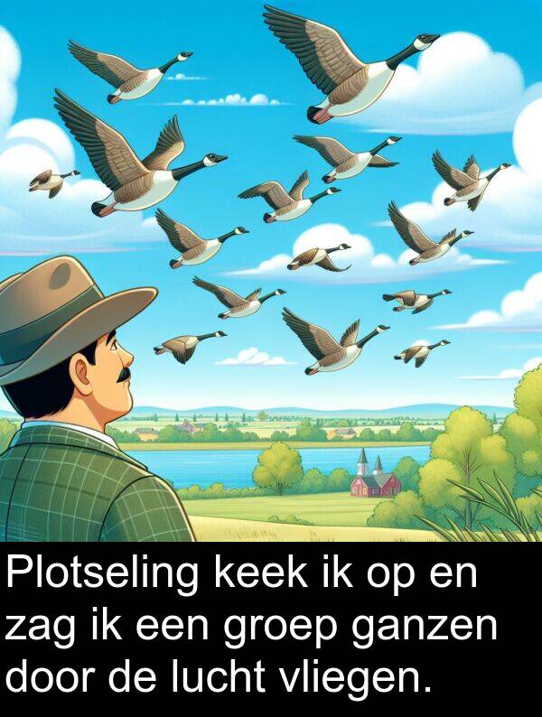 groep: Plotseling keek ik op en zag ik een groep ganzen door de lucht vliegen.