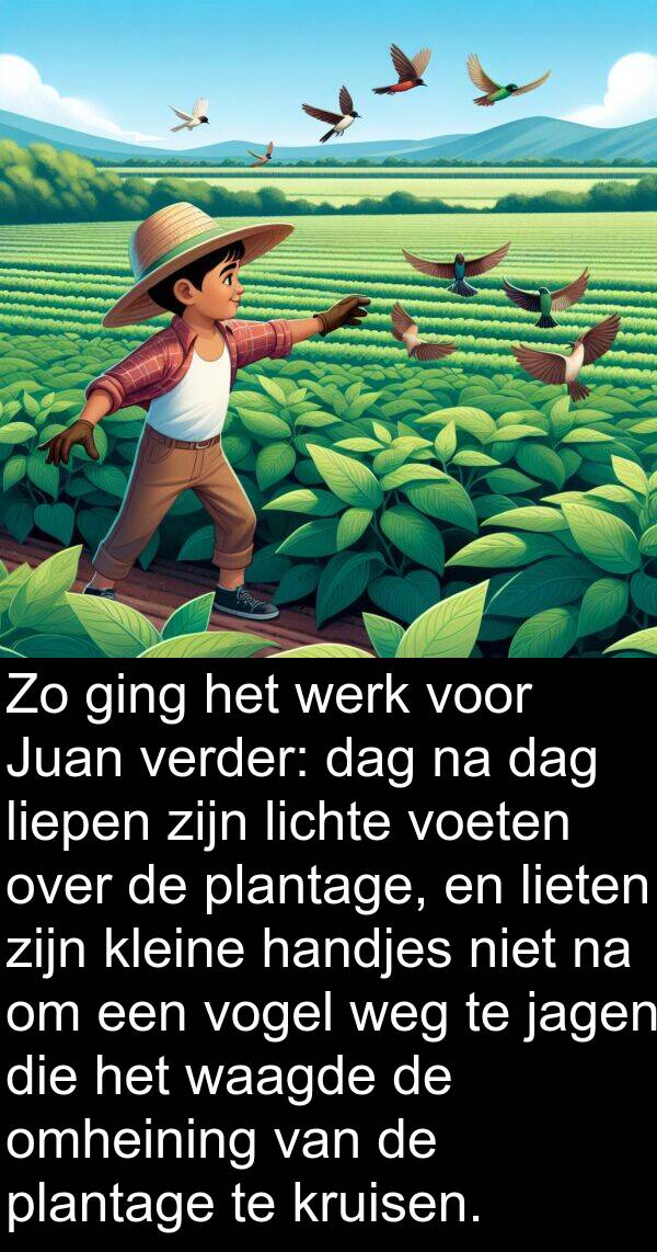 verder: Zo ging het werk voor Juan verder: dag na dag liepen zijn lichte voeten over de plantage, en lieten zijn kleine handjes niet na om een vogel weg te jagen die het waagde de omheining van de plantage te kruisen.