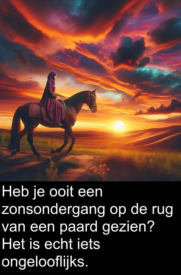 gezien: Heb je ooit een zonsondergang op de rug van een paard gezien? Het is echt iets ongelooflijks.