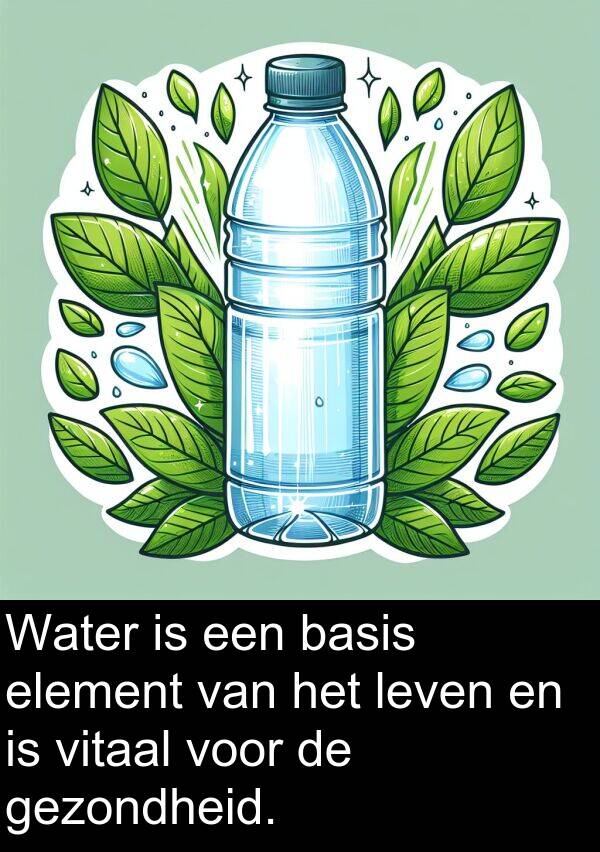 gezondheid: Water is een basis element van het leven en is vitaal voor de gezondheid.