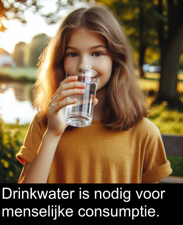 voor: Drinkwater is nodig voor menselijke consumptie.