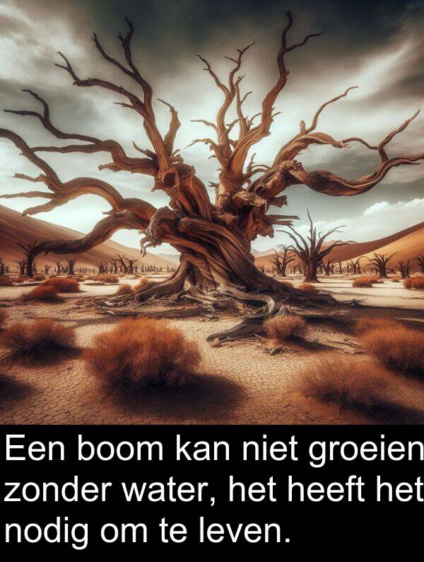 groeien: Een boom kan niet groeien zonder water, het heeft het nodig om te leven.