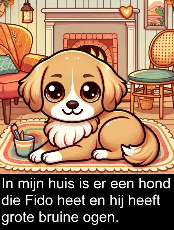 heet: In mijn huis is er een hond die Fido heet en hij heeft grote bruine ogen.