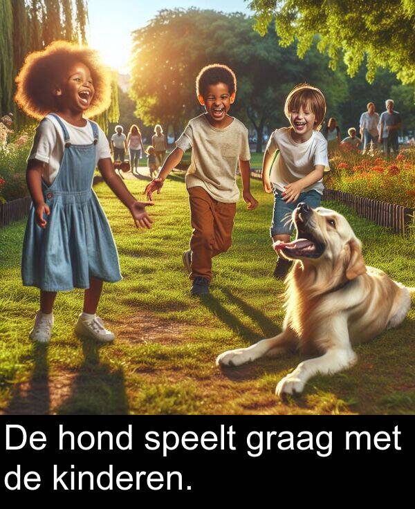 graag: De hond speelt graag met de kinderen.