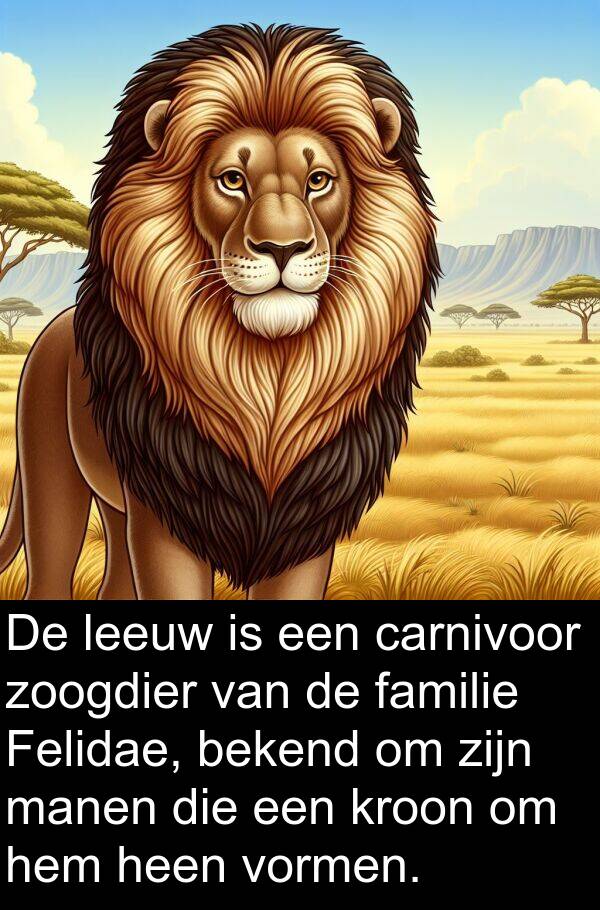 zoogdier: De leeuw is een carnivoor zoogdier van de familie Felidae, bekend om zijn manen die een kroon om hem heen vormen.