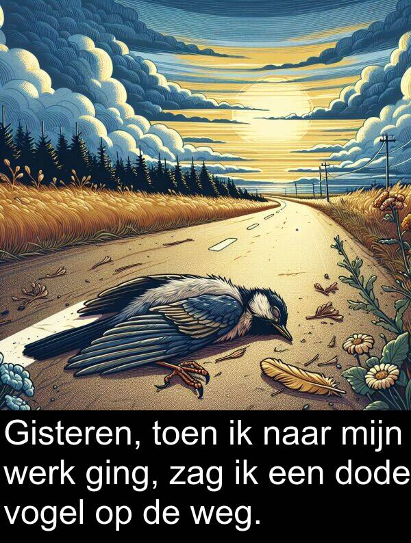 ging: Gisteren, toen ik naar mijn werk ging, zag ik een dode vogel op de weg.