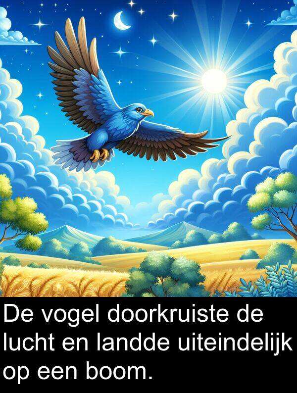 doorkruiste: De vogel doorkruiste de lucht en landde uiteindelijk op een boom.