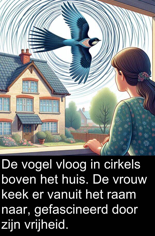 boven: De vogel vloog in cirkels boven het huis. De vrouw keek er vanuit het raam naar, gefascineerd door zijn vrijheid.