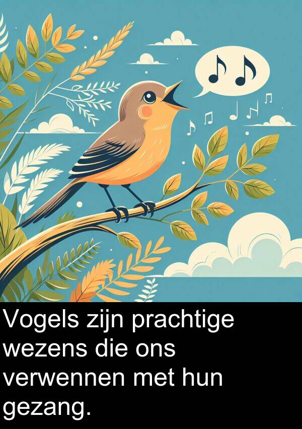 gezang: Vogels zijn prachtige wezens die ons verwennen met hun gezang.
