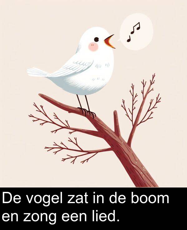 zong: De vogel zat in de boom en zong een lied.