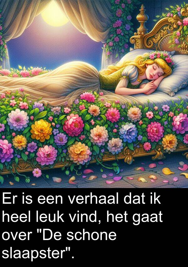 heel: Er is een verhaal dat ik heel leuk vind, het gaat over "De schone slaapster".