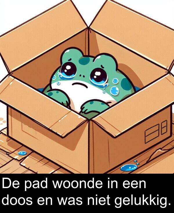 gelukkig: De pad woonde in een doos en was niet gelukkig.