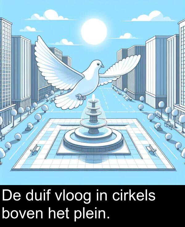 duif: De duif vloog in cirkels boven het plein.
