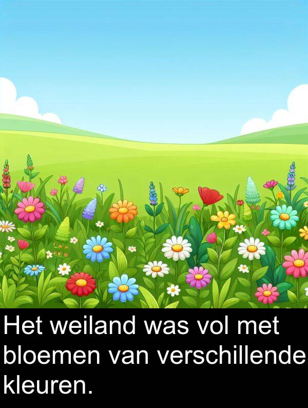 vol: Het weiland was vol met bloemen van verschillende kleuren.