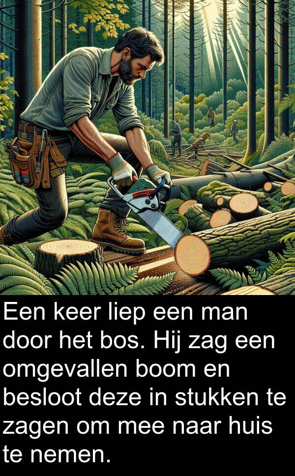 keer: Een keer liep een man door het bos. Hij zag een omgevallen boom en besloot deze in stukken te zagen om mee naar huis te nemen.
