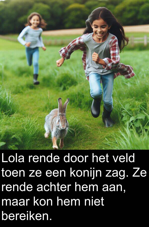 konijn: Lola rende door het veld toen ze een konijn zag. Ze rende achter hem aan, maar kon hem niet bereiken.
