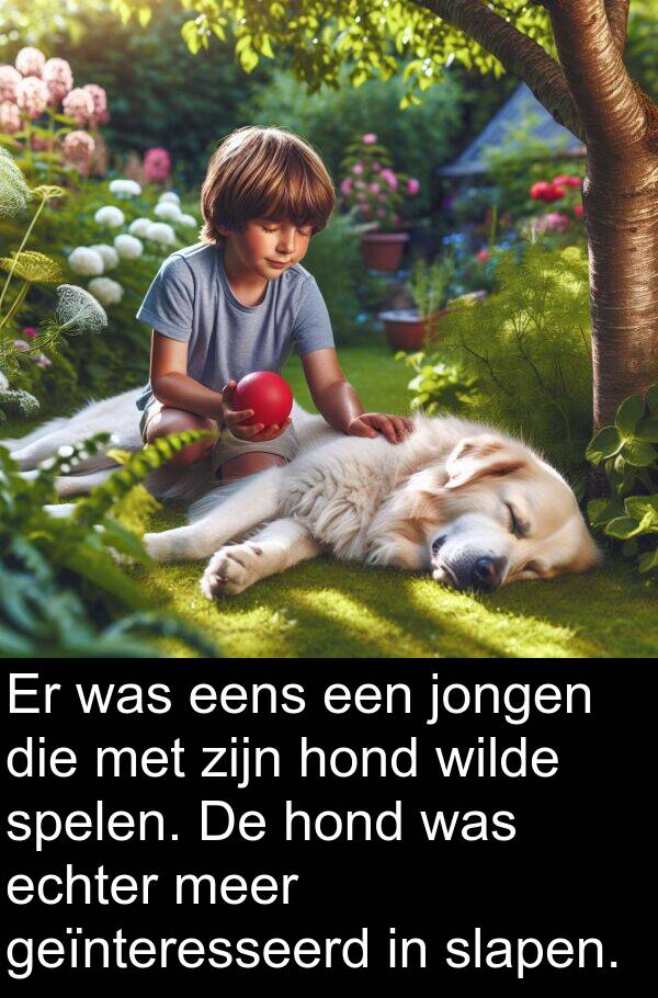 geïnteresseerd: Er was eens een jongen die met zijn hond wilde spelen. De hond was echter meer geïnteresseerd in slapen.